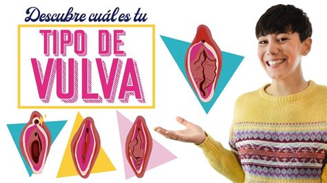 formas de chochos|23 tipos y formas de la vagina y vulva, ¡todas son normales!